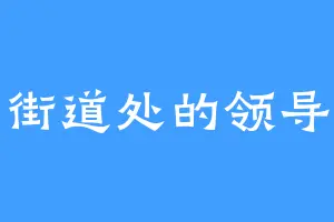 街道处的领导