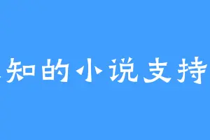 未知的小说支持者