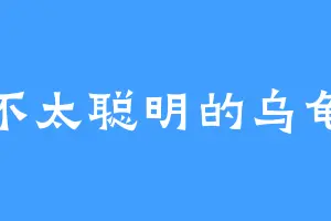 不太聪明的乌龟