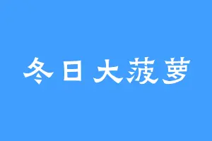 冬日大菠萝
