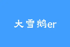 大雪鹅er