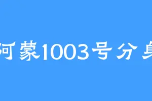 阿蒙1003号分身