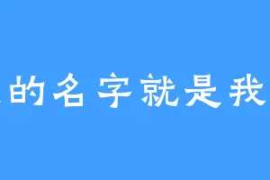 我的名字就是我的