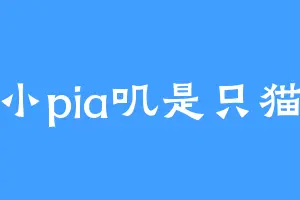 小pia叽是只猫