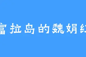 富拉岛的魏娟红