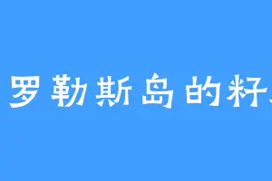 佛罗勒斯岛的籽麻