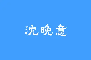 沈晚意