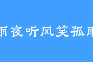 雨夜听风笑孤雨