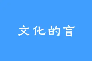 文化的盲