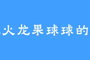 爱吃火龙果球球的罗玉