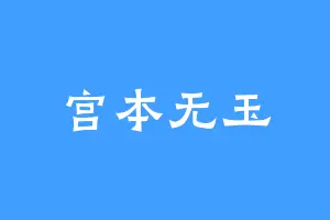 宫本无玉