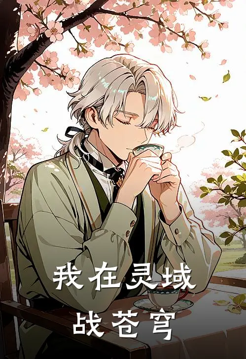 我在灵域战苍穹