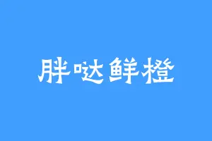 胖哒鲜橙