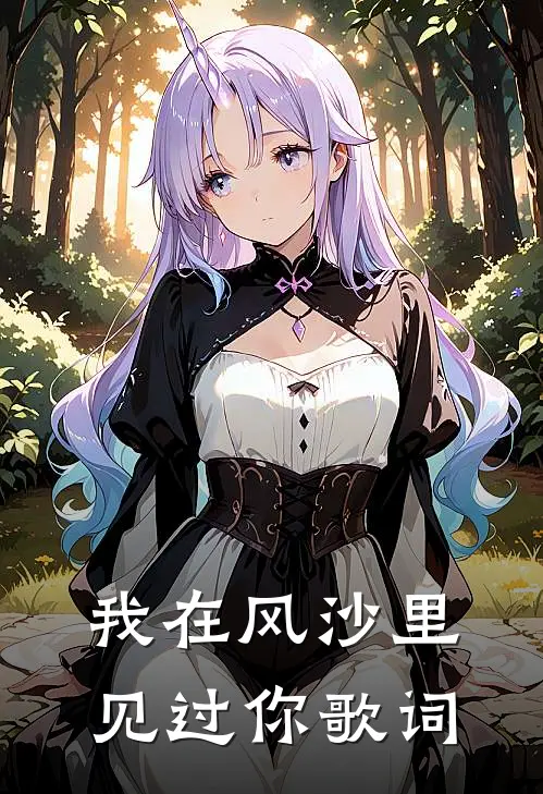 我在风沙里见过你歌词