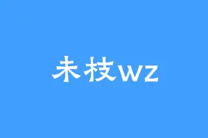 未枝wz