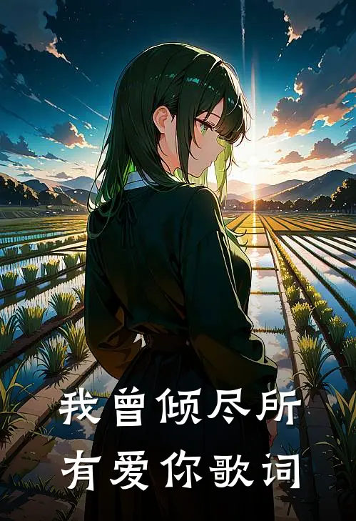 我曾倾尽所有爱你歌词