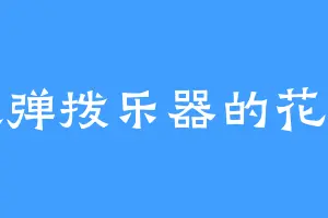 喜欢弹拨乐器的花满天