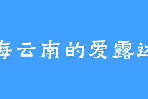 海云南的爱露达