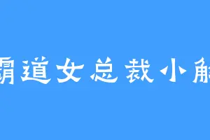 霸道女总裁小解