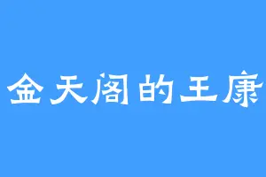 万金天阁的王康可
