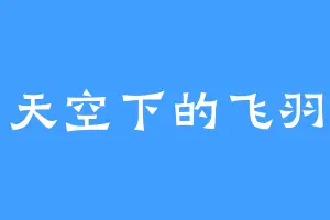 天空下的飞羽
