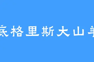 底格里斯大山羊