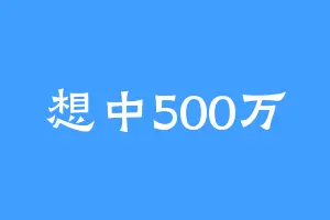 想中500万