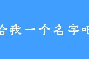 给我一个名字吧