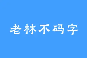 老林不码字