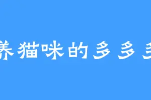 爱养猫咪的多多多多