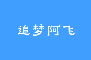 追梦阿飞