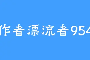 作者漂流者954