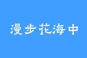 漫步花海中