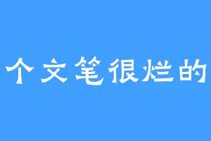 一个文笔很烂的入