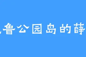 海德鲁公园岛的薛家明