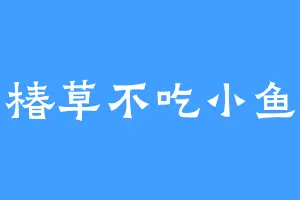 椿草不吃小鱼
