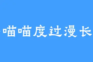 陪小喵喵度过漫长岁月