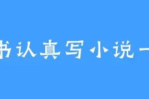 看书认真写小说一般