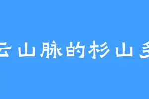 紫云山脉的杉山多义
