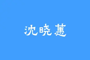沈晓蕙