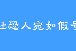 社恐人宛如假号