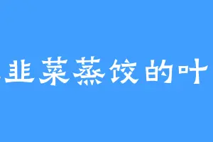 爱吃韭菜蒸饺的叶老祖