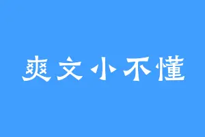 爽文小不懂