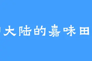 无神大陆的嘉味田正一