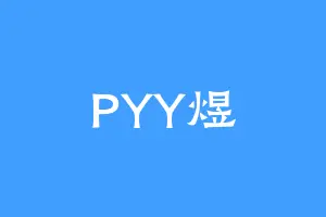 PYY煜