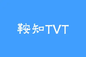 鞍知TVT