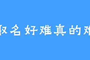 取名好难真的难