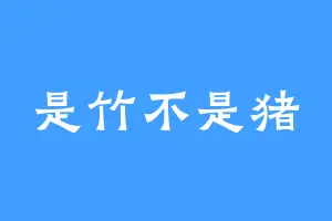 是竹不是猪