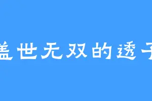 盖世无双的透子