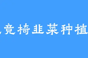 电竞椅韭菜种植户